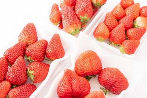 4品種の苺の品種比較（章姫、さがほのか、紅ほっぺ、あまおう）