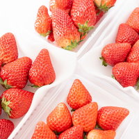 4品種の苺のサイズ比較（章姫、紅ほっぺ、あまおう、さがほのか）の写真