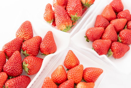 4品種の苺のサイズ比較（章姫、紅ほっぺ、あまおう、さがほのか）