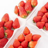 パックに入った4種類の苺の味比べ（章姫、紅ほっぺ、あまおう、さがほのか）の写真