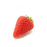 白背景に置いた紅ほっぺ（苺）一粒の写真