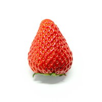 白背景に置かれた紅ほっぺ（苺）の新鮮な果実の写真