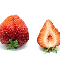 完熟したあまおう（苺）と断面、新鮮ないちごの食品の写真