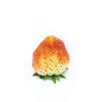 受精不良で変形したいちごのワンショットの写真