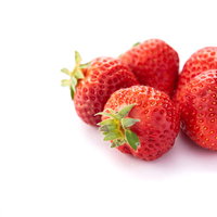 採れたて苺の赤い実、新鮮なフルーツ、ヘタ付きの写真