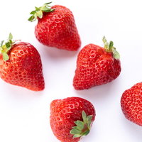 無造作に置かれた整った形の新鮮な苺5個の白背景の写真