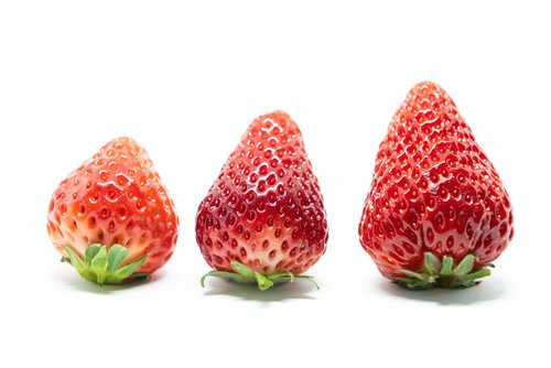 苺のサイズ・色合い比較（さがほのか、とちおとめ、紅ほっぺ）