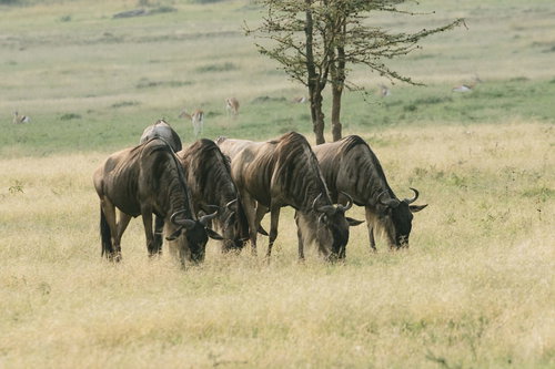 レドンドビーチのキングハーバーと砂浜、海岸風景