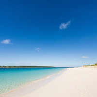 白い砂浜とエメラルドグリーンの透明な海が広がる海岸の写真