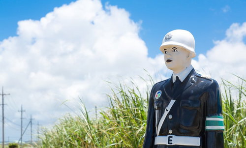 青空と白い雲の下で草むらの前に立つ宮古まもる君
