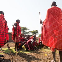 赤いチェックの伝統衣装を纏うマサイ族の会議の写真
