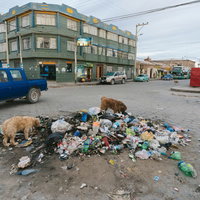 ウユニ市街の道路脇で散乱したゴミを漁る野犬の写真