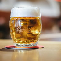 手を付ける前のチェコビール（ブドヴァル）グラスに注がれた琥珀色の写真