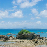 夏の海と岩礁が織りなす青い海岸風景の写真