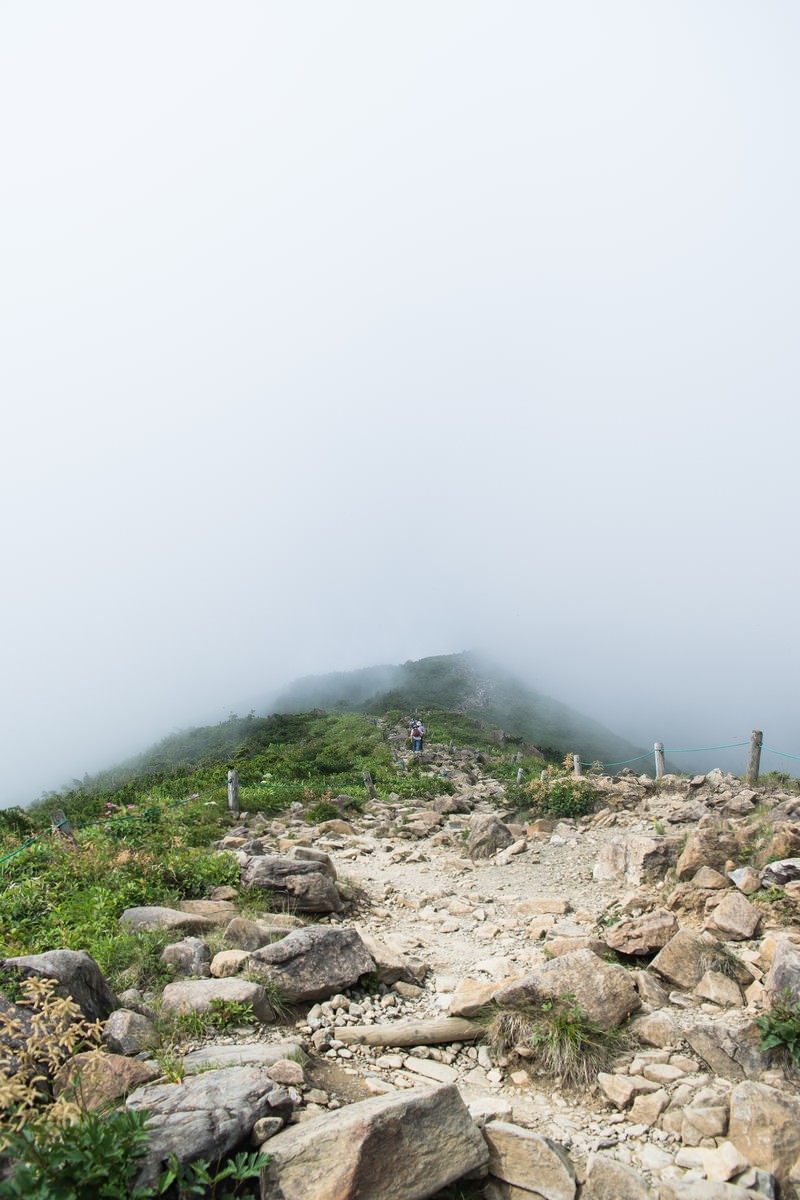 霧に覆われた山の登山道を歩く登山者の後ろ姿