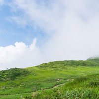 高原に立ち込める白い雲と緑の草原、背景に連なる山々の写真