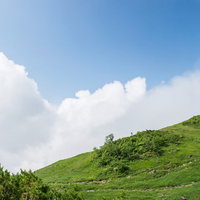 緑豊かな高原から顔を出す白い雲と青空の風景の写真