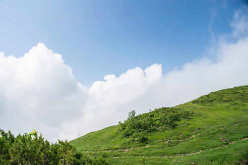 緑豊かな高原から顔を出す白い雲と青空の風景