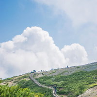 山の斜面の木道を行き来する登山者たちの写真