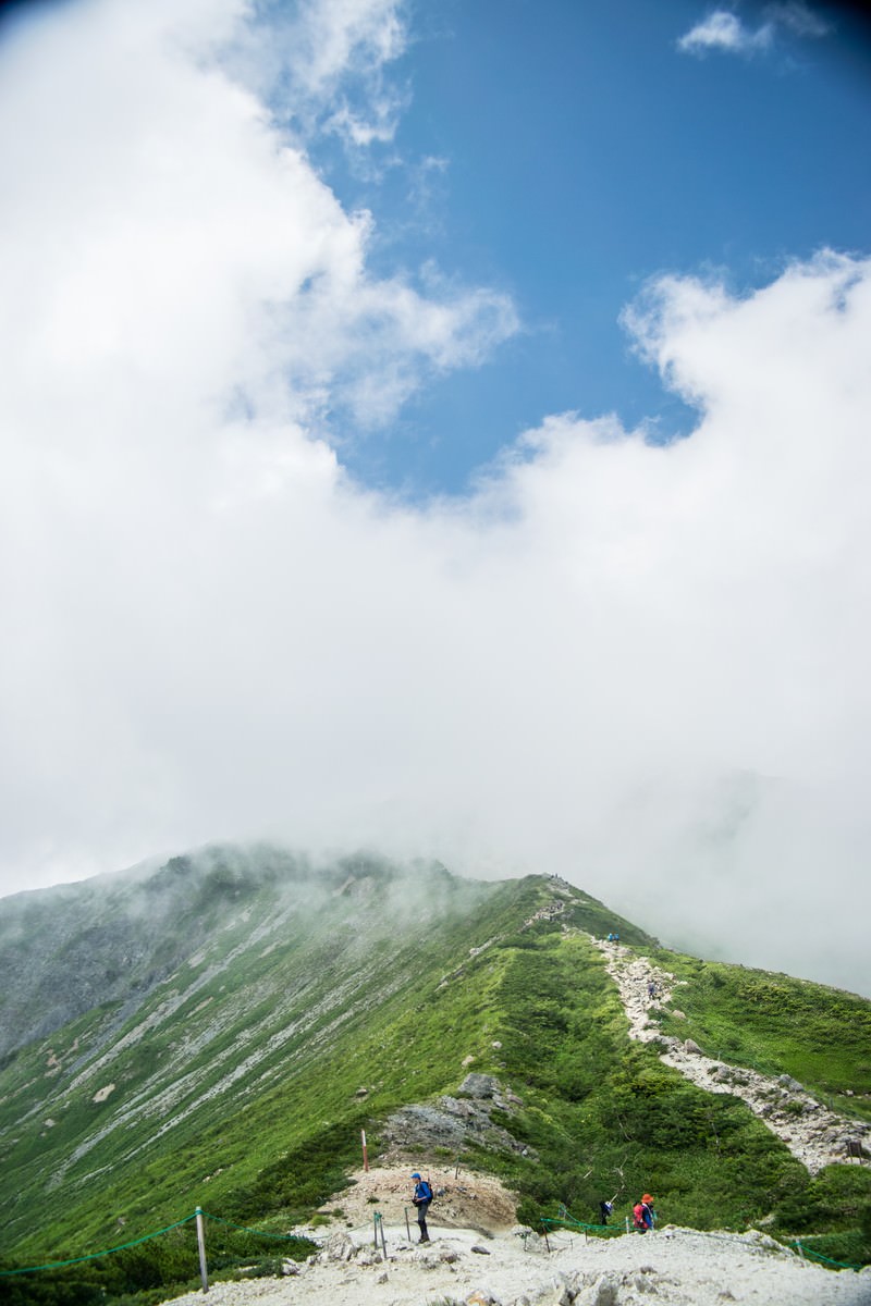 雲海に包まれた緑の稜線を歩く登山者と青空に浮かぶ白い雲