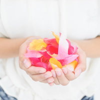 手のひらいっぱいの花びら、ピンクと黄色の優しい色合いの写真