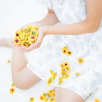 小さな黄色いひまわりを両手いっぱいに持つ女性の写真