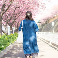 桜並木の道を歩く青い服の女性の後姿の写真