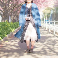 スナップ写真が好きそうな女子カメラマン、春の桜並木を歩くの写真