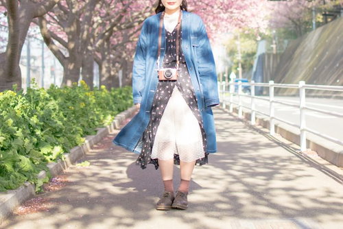 スナップ写真が好きそうな女子カメラマン、春の桜並木を歩く