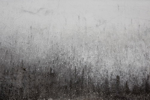 黒くカビた壁のテクスチャー