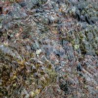 透明な浅瀬の水面に映る石や岩、光の反射が輝く水底の写真