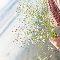 白いカスミソウを握る女性の手の写真