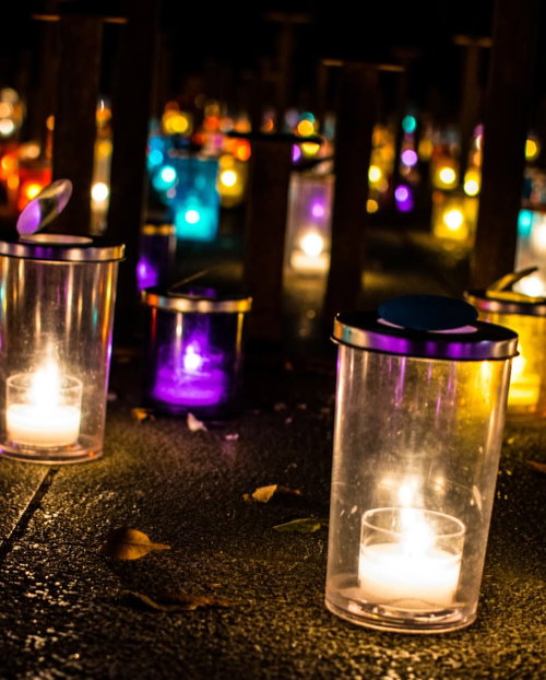 夕暮れの海辺で花束を持つ女性のシルエット