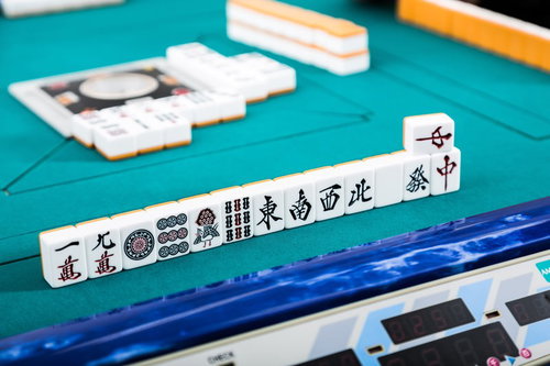 ツモ牌を乗せた手牌、国士無双ツモで役満成立