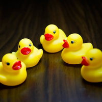 木の床の上で円形に集まるあひるちゃん会議中の写真