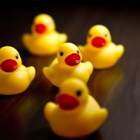 不吉な事が起きそうなあひるちゃん達御一行の写真