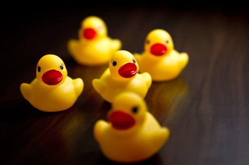 不吉な事が起きそうなあひるちゃん達御一行