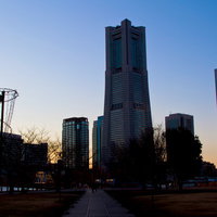 高層ビルが並ぶ夕暮れのみなとみらい運河パークの写真
