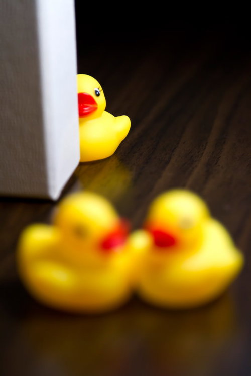 壁の横から浮気現場を覗き見るあひるちゃん