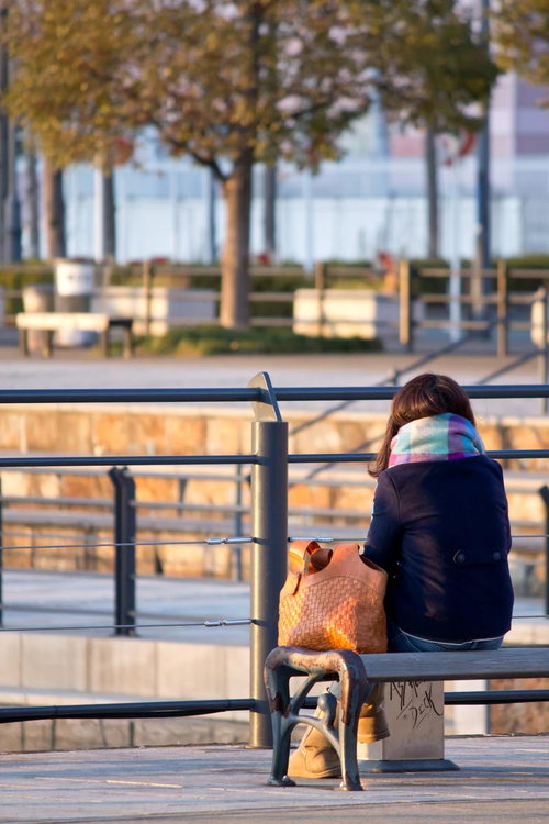 公園のベンチに座る女子の後ろ姿