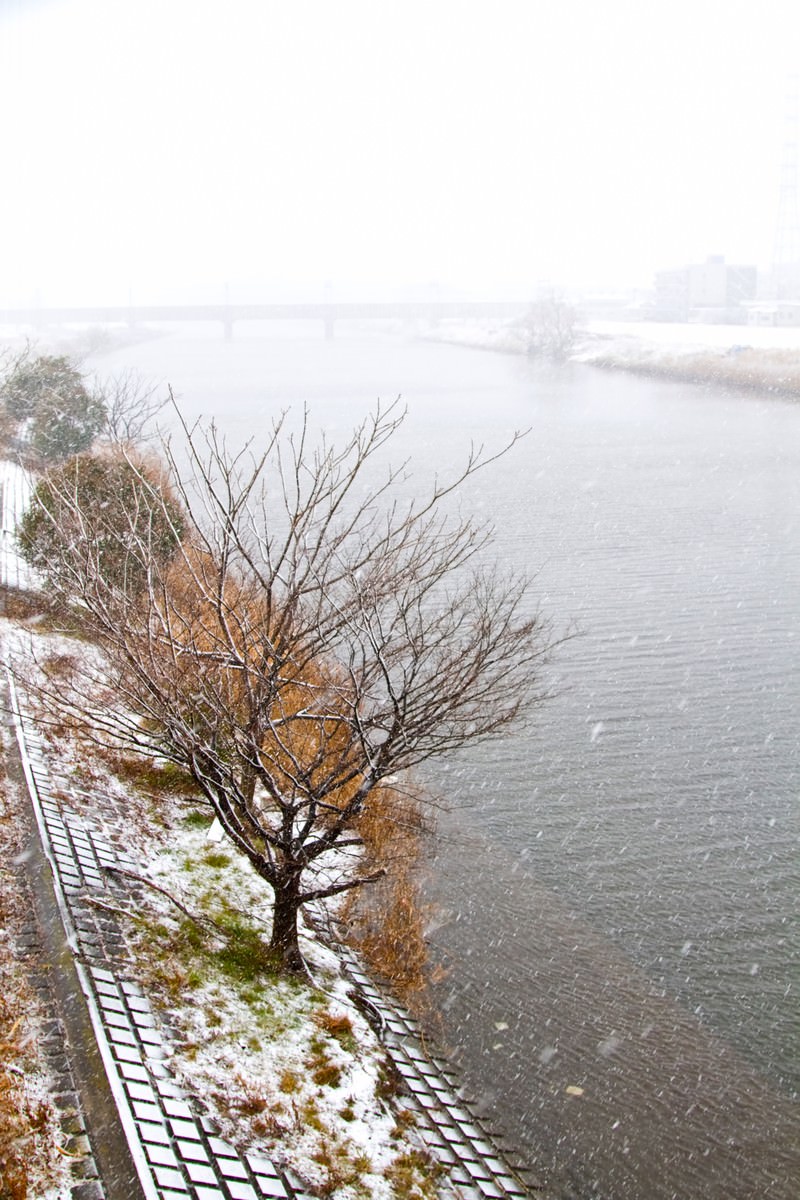 雪が積もった冬の河川敷