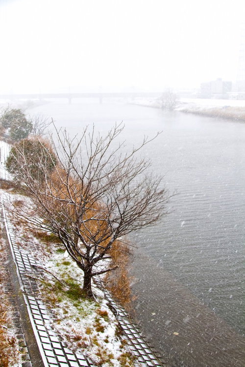 一面に白い雪が広がる河川敷と冬の空