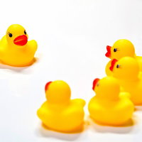 大きなあひるが小さなあひるを囲むいじめ現場のあひるちゃんの写真
