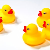 2対3に分かれて向き合い言い争うあひるちゃんのおもちゃの写真