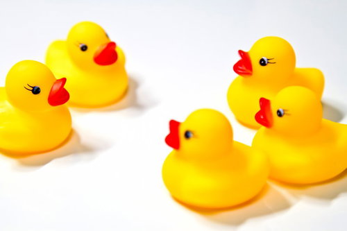 2対3に分かれて向き合い言い争うあひるちゃんのおもちゃ