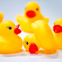 白い面の上で並ぶ5羽のあひるちゃん集団リンチの写真