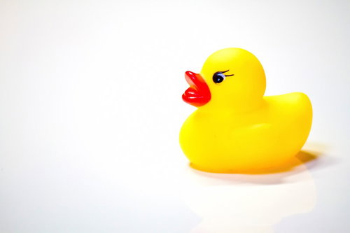 横を向いて一列に並ぶ黄色いあひるちゃんのおもちゃ