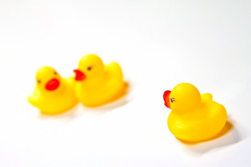 あひるちゃん浮気現場を発見！