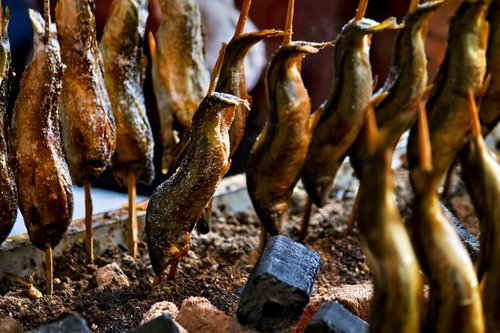 竹串に刺されて並ぶ出店の鮎の塩焼き