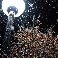 雪が積もった柱と夜空に光る丸い街灯の写真